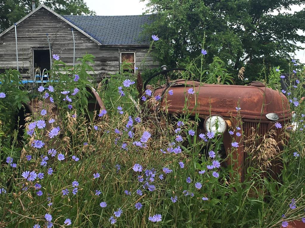 Small wooden home located in Jefferson Heights until September, 2020.  Photo credit: Gerald and Linda Hayes
